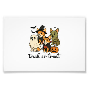 Impression Photo déguisement d'Halloween pour corgi