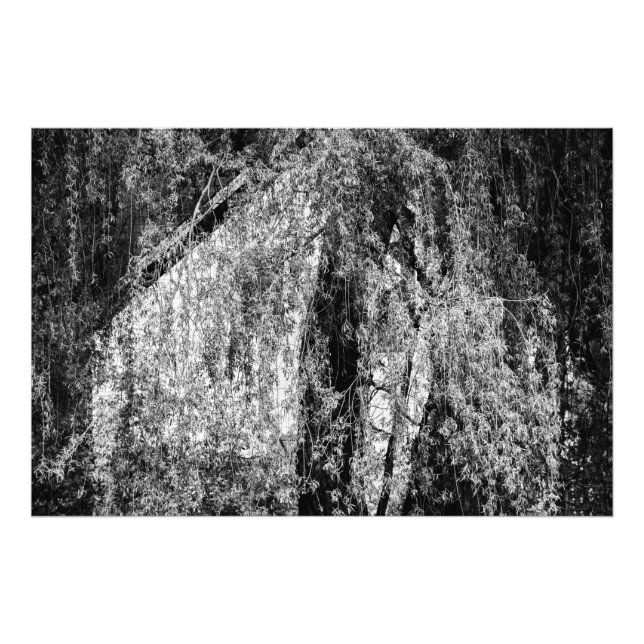 Impression Photo demeure (Devant)