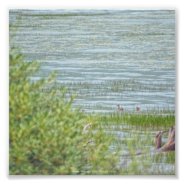 Impression Photo Déplacement délicat (Devant)