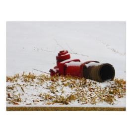 Impression Photo "déshydraté"