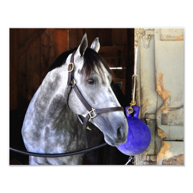 Impression Photo Destin (Devant)