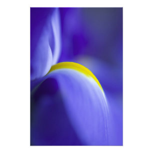 Impression Photo Détail d'un drapeau bleu iris.