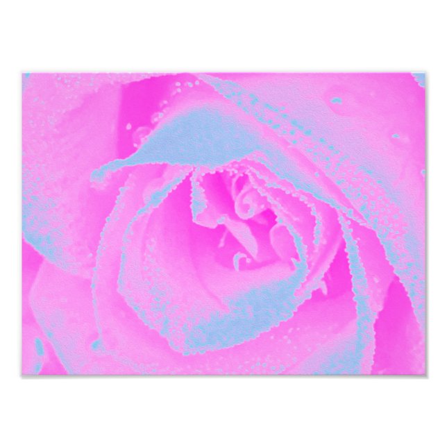 Impression Photo Détail parfait du Rose rose chaud et bleu clair (Devant)
