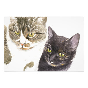 Impression Photo Deux chats - tabby et tortie