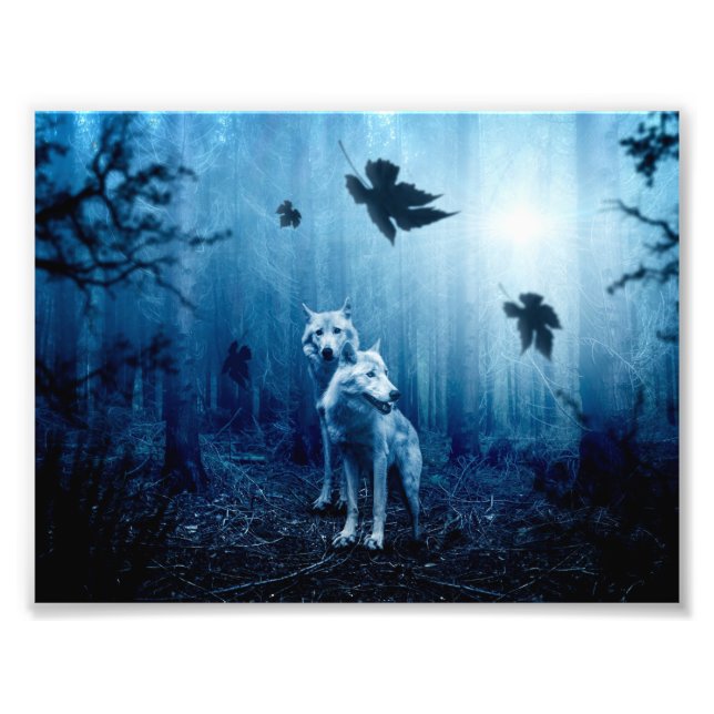Impression Photo Deux loups blancs dans la forêt (Devant)