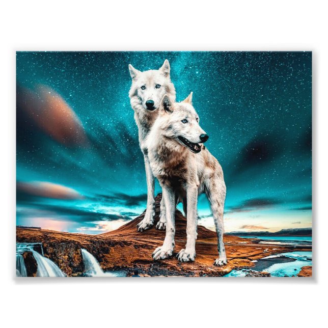 Impression Photo Deux loups de l'Arctique (Devant)