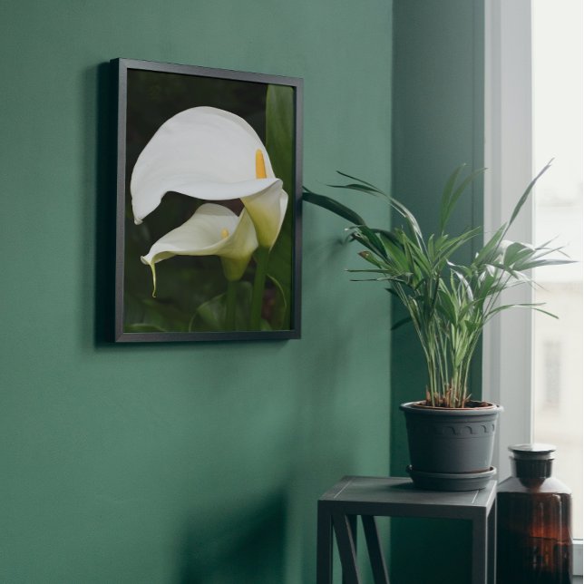 Impression Photo Deux Lys Calla Blanche Floral (In Situ Framed)