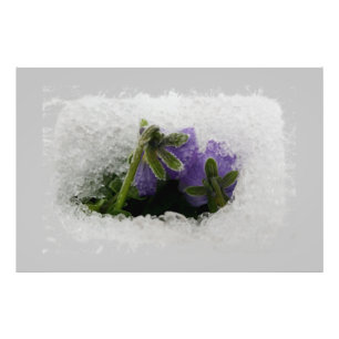 Impression Photo Deux panneaux violets