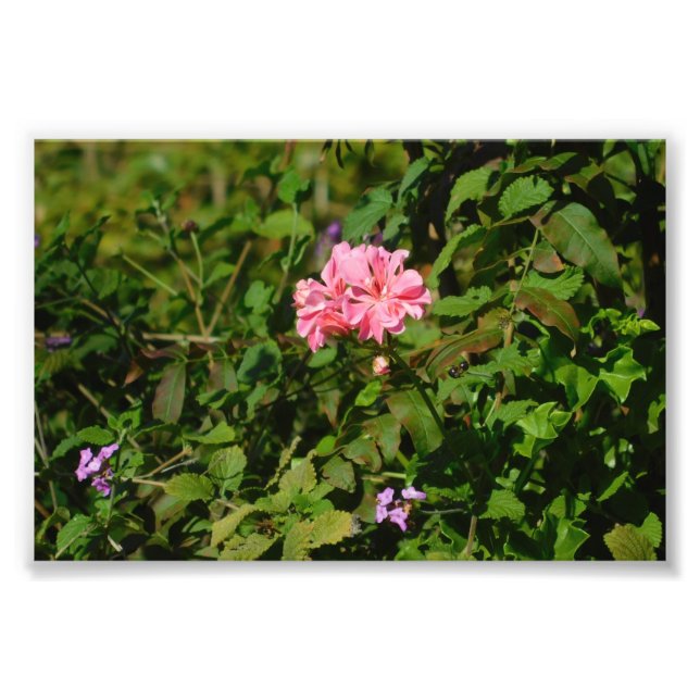 Impression Photo Deux pour un (Devant)