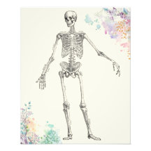 diagramme de fleur squelette de l'anatomie médical