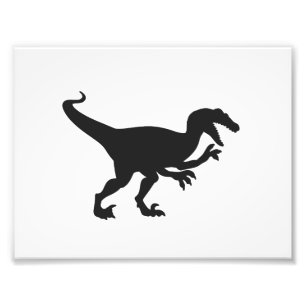Impression Photo Dinosaure de velocirapeur noir - Choisir la couleu