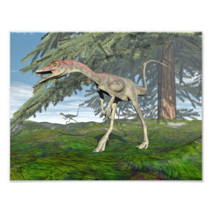 Impression Photo Dinosaures Compsognathus - rendu 3D