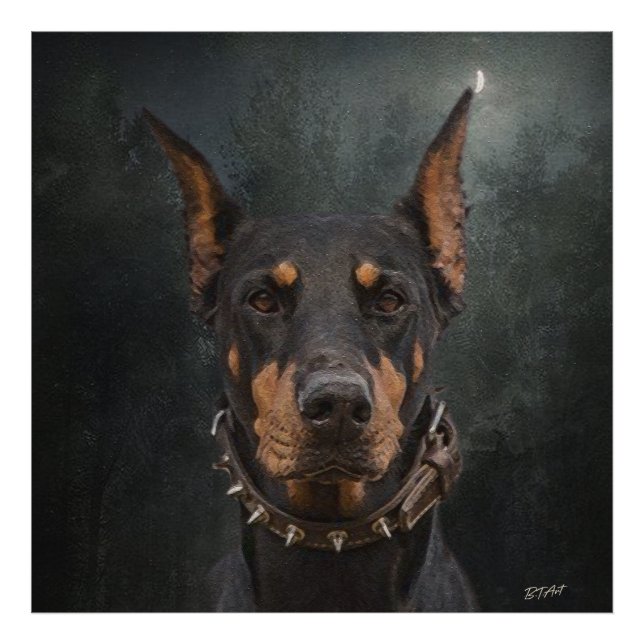 Impression Photo Doberman Pinscher (Devant)