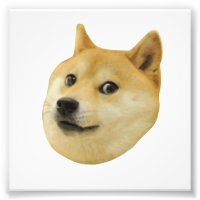 Doge Très Waouh Beaucoup Chien Telle Shiba Shibe I