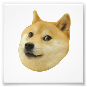 Impression Photo Doge Très Waouh Beaucoup Chien Telle Shiba Shibe I