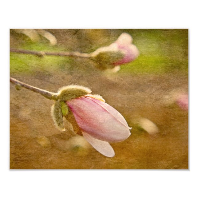 Impression Photo Don d'espoir (Devant)