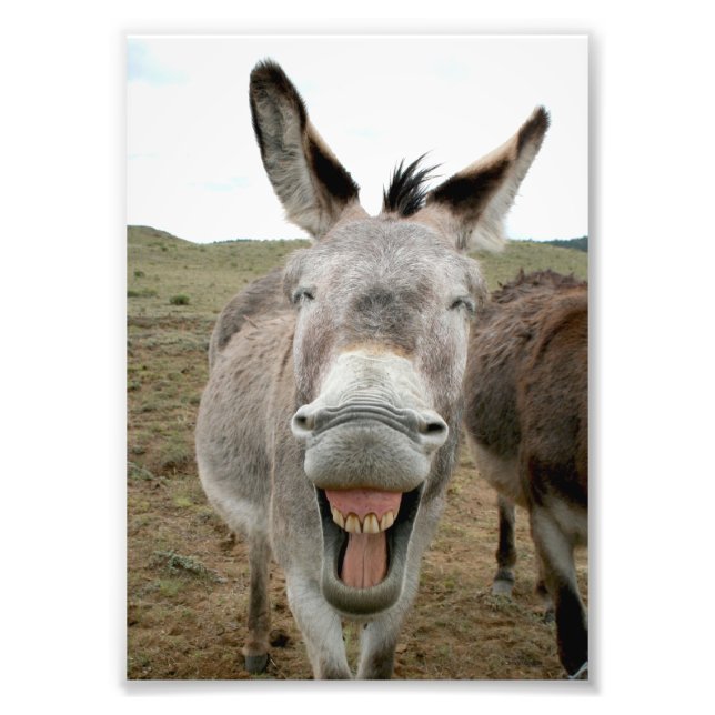 Impression Photo Donkey Smile (Devant)