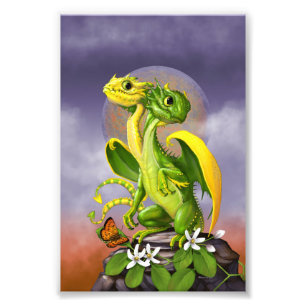 Impression Photo Dragon citron vert 4x6 Imprimer