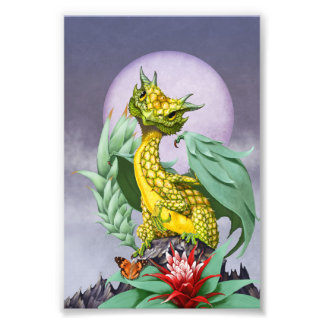 Impression Photo Dragon d'ananas 4x6