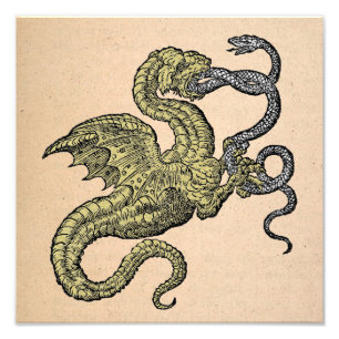 Impression Photo Dragon d'or contre le serpent argenté