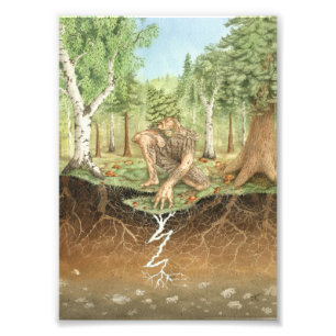 Impression Photo Dryad de champignons mycorhizés