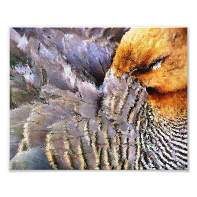 IMPRESSION PHOTO DUCK DE SOMMEIL (Devant)