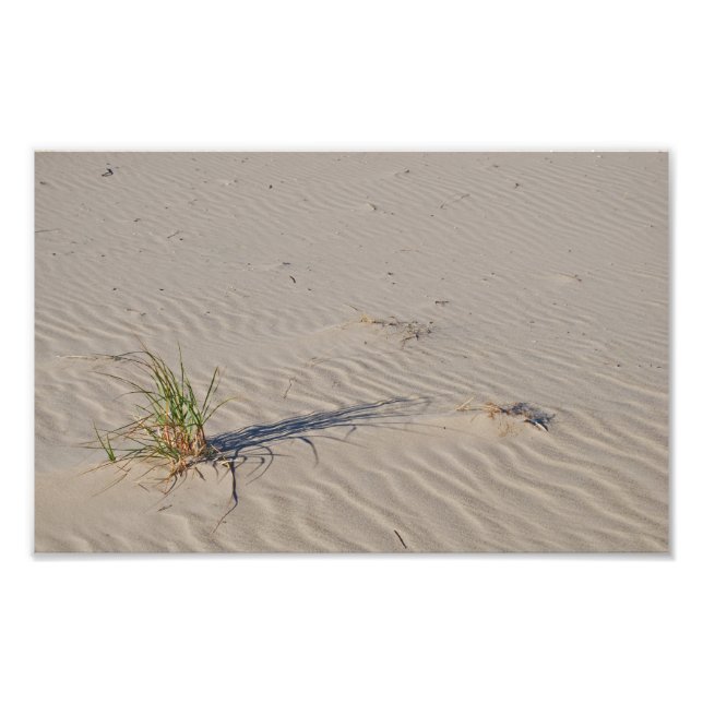 Impression Photo Dune Grass sur la plage (Devant)