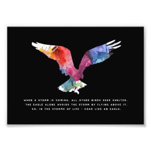 Impression Photo Eagle Flying Inspirational Citation Art
