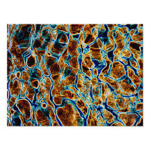 IMPRESSION PHOTO EAU