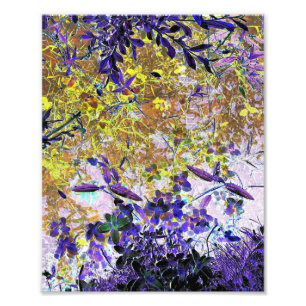 IMPRESSION PHOTO EAU