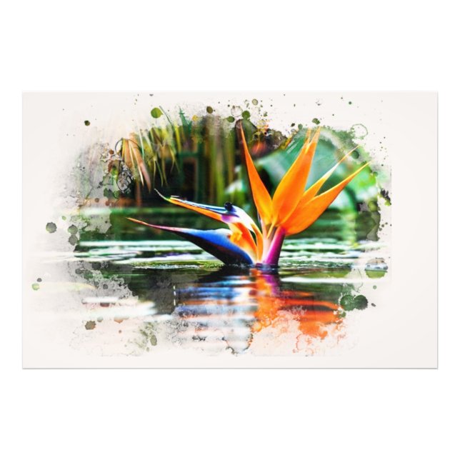 Impression Photo *~* Eau AP10 Flower Bird of Paradise QR Pond (Devant)