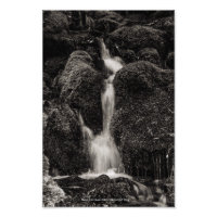 Eau sur la mousse