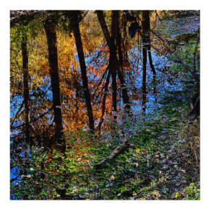 Impression Photo Eaux d'automne