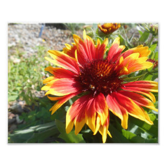 Impression Photo Éclairage