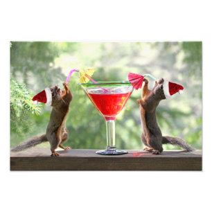 Impression Photo Écureuils de Père Noël buvant un cocktail