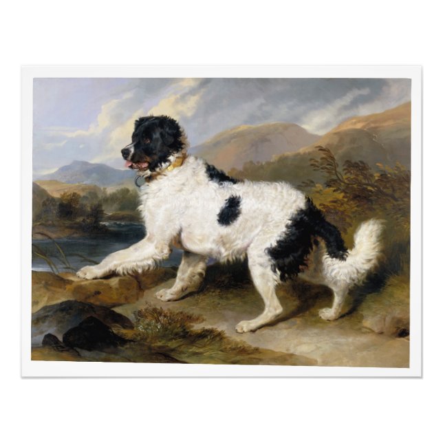 Impression Photo Edwin Henry Landseer Lion A Newfoundland Dog (Devant)