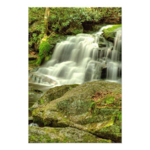 Impression Photo Elakala Falls #2, Virginie-Occidentale