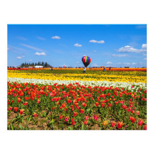 Impression Photo Élargissement de photos des tulipes du printemps