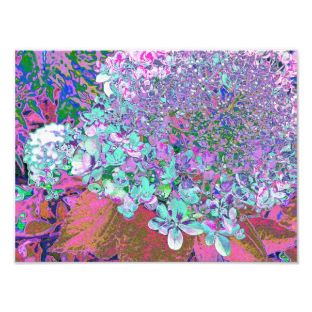 Impression Photo Elegant Aqua et Purple Limelight Hydrangea Détail (Devant)