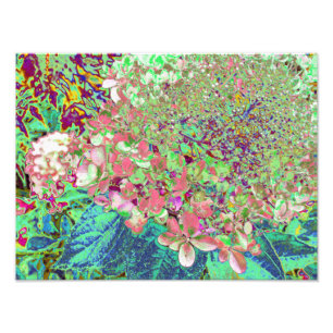 Impression Photo Élégant Corail et Chartreuse Limelight Hydrangea