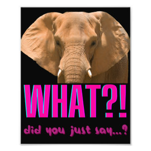Impression Photo Elephant Que Viens-Tu De Dire ?