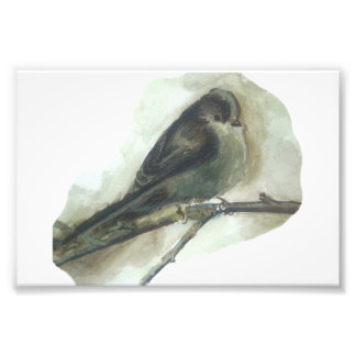 Impression Photo Empreinte d'aquarelle de l'oiseau de jardin à long