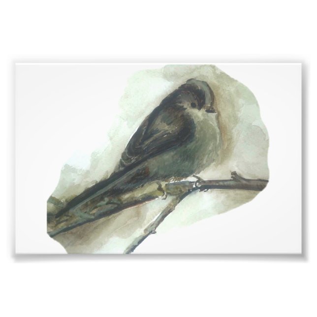 Impression Photo Empreinte d'aquarelle de l'oiseau de jardin à long (Devant)