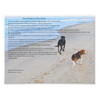 Impression Photo Empreintes de pattes dans le sable 8,79 po x 6,59 