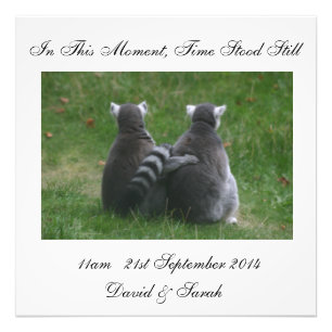Impression Photo En cet instant, le temps s'arrêta - Lemur Love