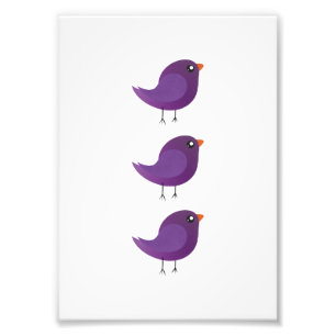 Impression Photo Enfants oiseau mignon