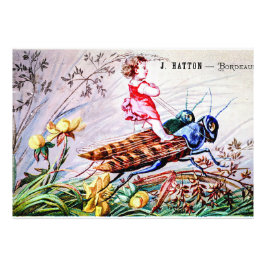 Impression Photo Enfants Riding Grasshoppers