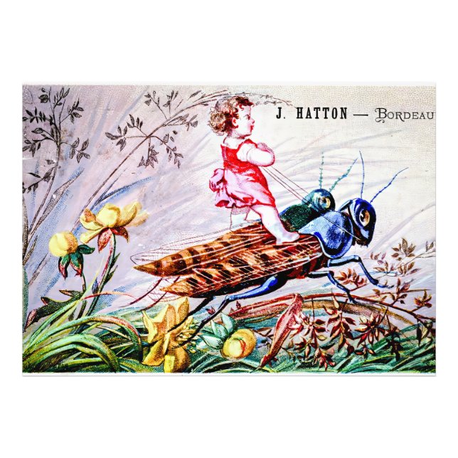 Impression Photo Enfants Riding Grasshoppers (Devant)