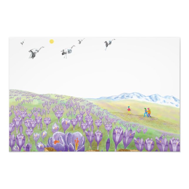 Impression Photo Enfants sur Purple Crocus Flowers Hill (Devant)