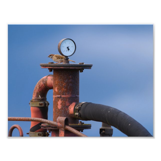 Impression Photo Épervier à vérifier la pression d'air avant le déc (Devant)